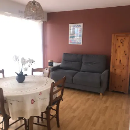 Lägenhet Entierement Renove Avec Vue Sur Le Bassin Et St Yves Parking Prive