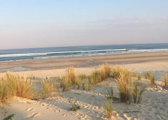 Entierement Rénové Avec Vue Sur Le Bassin Et St Yves Parking Privé Appartement