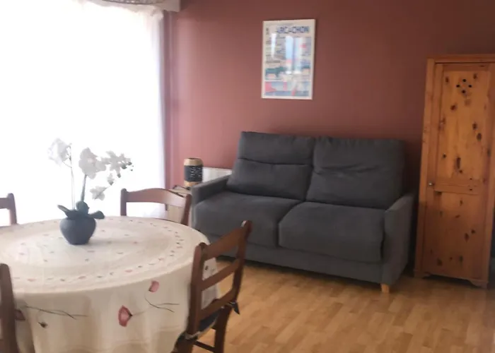 Lägenhet Entierement Renove Avec Vue Sur Le Bassin Et St Yves Parking Prive